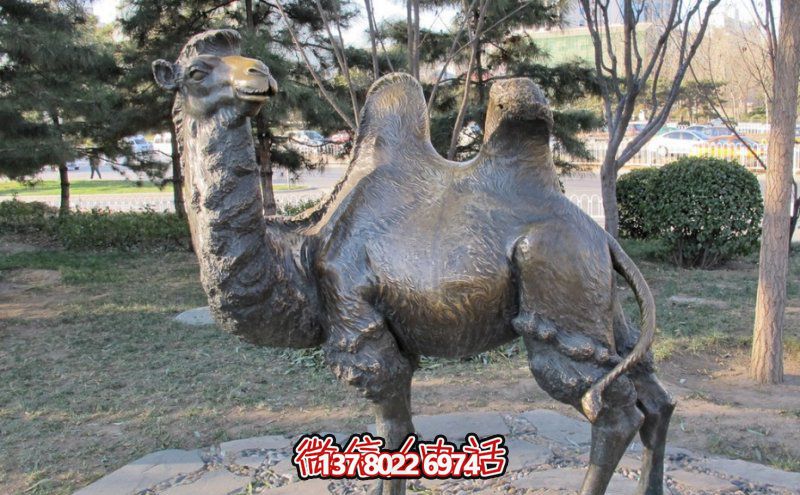 创意大型玻璃钢骆驼雕塑，在草地上摆放，一眼回头