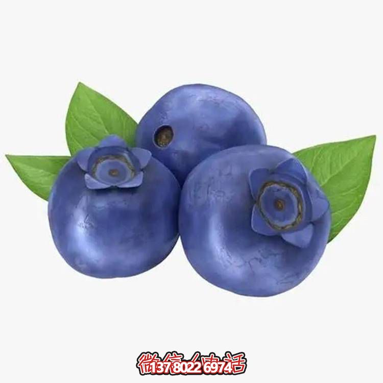 玻璃钢仿真蓝莓雕塑果蔬