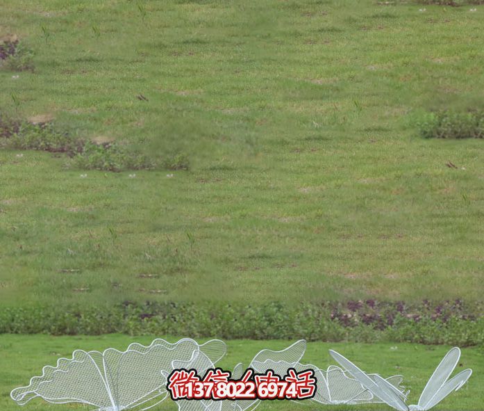 不锈钢网格池塘蝴蝶雕塑 不锈钢网格池塘蝴蝶雕塑