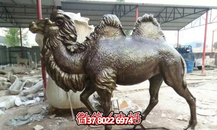 公园摆放的的黑色的不锈钢仿真骆驼雕塑